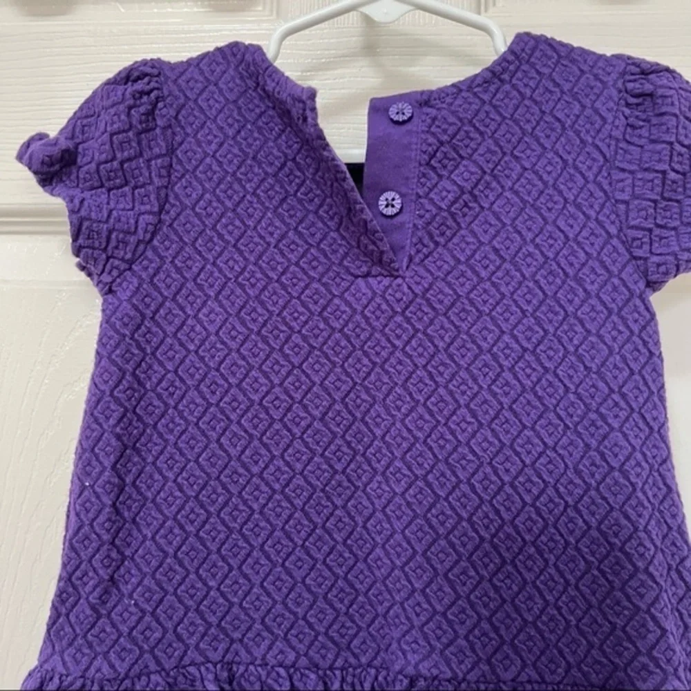𝅺GYMBOREE|GIRLS plum short sleeve party dress-size 2T